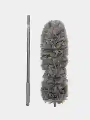 Пипидастр