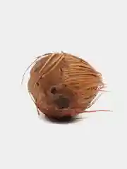 Эвтерпа (Euterpe edulis) семена 1 шт