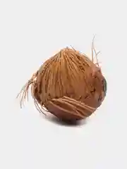 Эвтерпа (Euterpe edulis) семена 1 шт