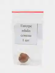 Эвтерпа (Euterpe edulis) семена 1 шт