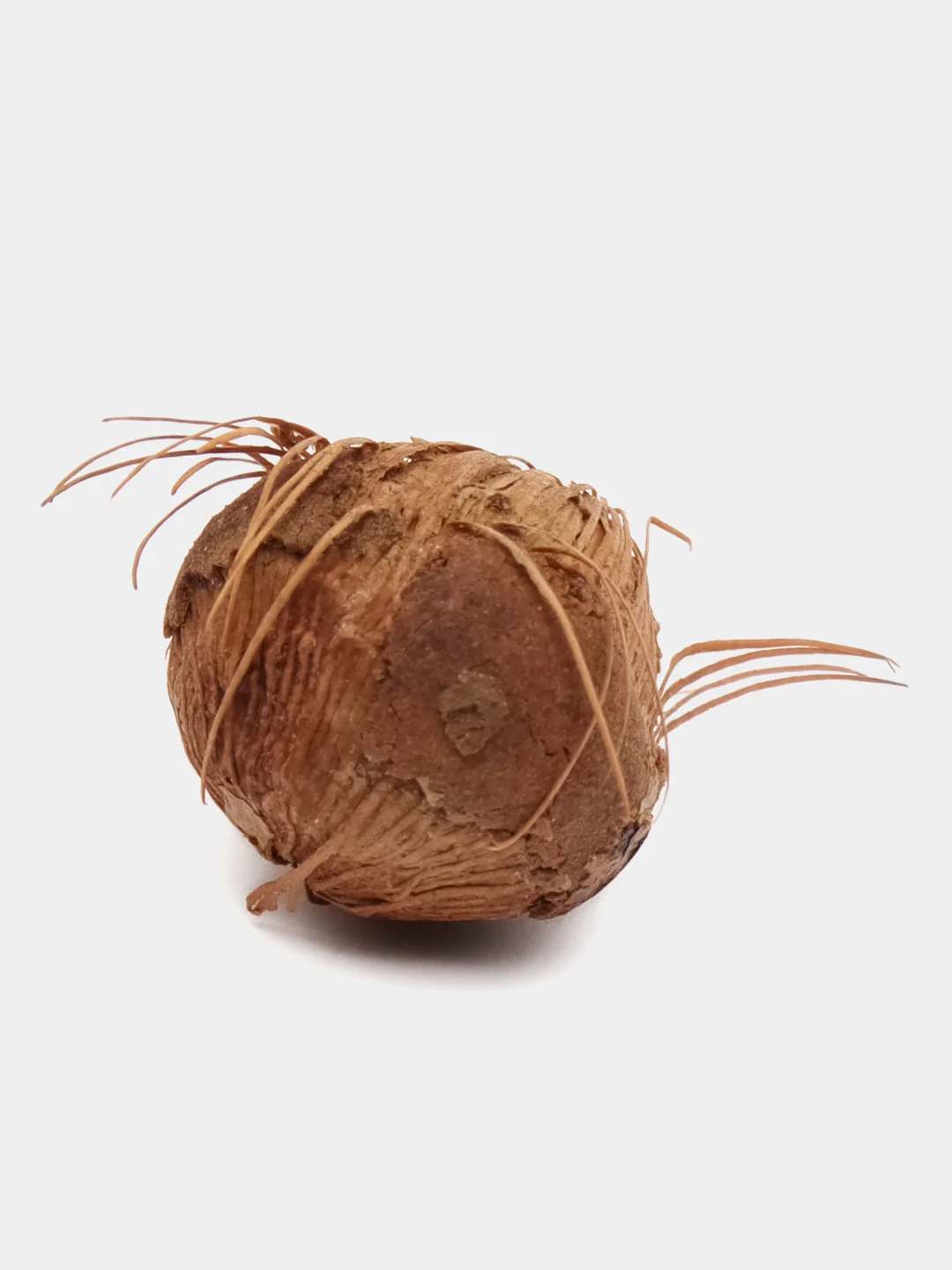 Эвтерпа (Euterpe edulis) семена 1 шт