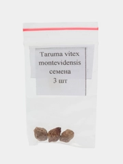 Taruma vitex montevidensis - семена 3 шт