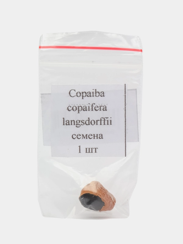 Копайба дизельное дерево (Copaiba copaifera langsdorffii) - семена 1 шт