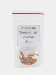 Туна реснитчатая (Australian Toona ciliata) - семена 10 шт