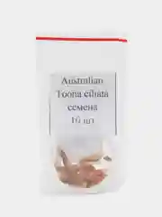 Туна реснитчатая (Australian Toona ciliata) - семена 10 шт