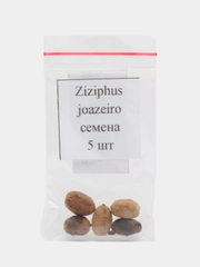 Семена зизифуса жoазейро ( Ziziphus Joazeiro) 5 шт