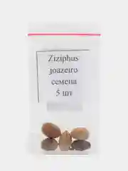 Семена зизифуса жoазейро ( Ziziphus Joazeiro) 5 шт