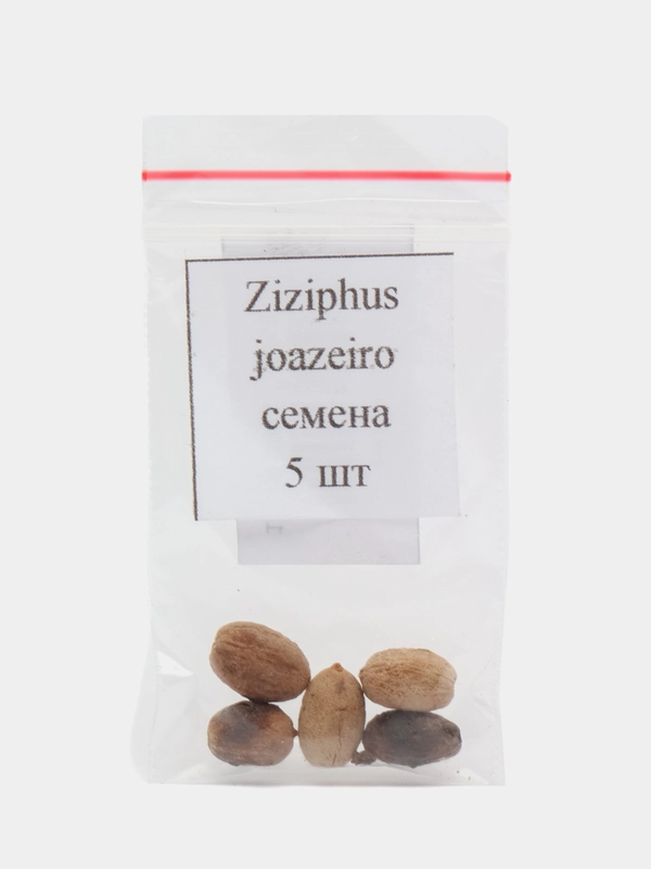 Семена зизифуса жoазейро ( Ziziphus Joazeiro) 5 шт