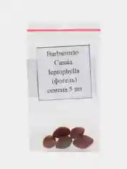 Barbatimo Cassia leptophylla (фогель) семена 5 шт