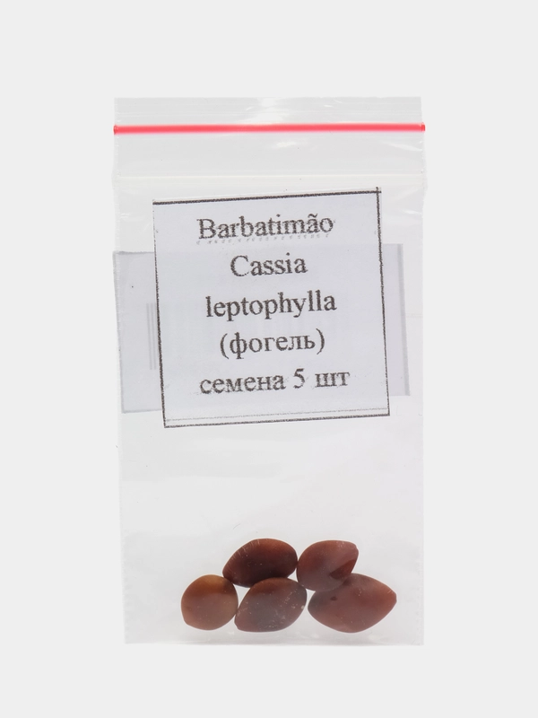Barbatimo Cassia leptophylla (фогель) семена 5 шт