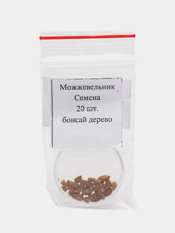 Можжевельник Семена 20 шт. бонсай дерево