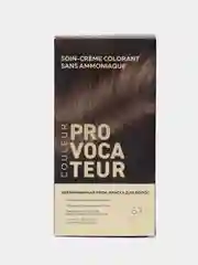 PROVOCATEUR COULEUR 6.7 миндальное пралине PRALIN AMANDES, 40/80/15 мл