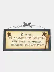 Интерьерная табличка "Конечно, от домашней работы еще никто не умирал, но зачем рисковать"
