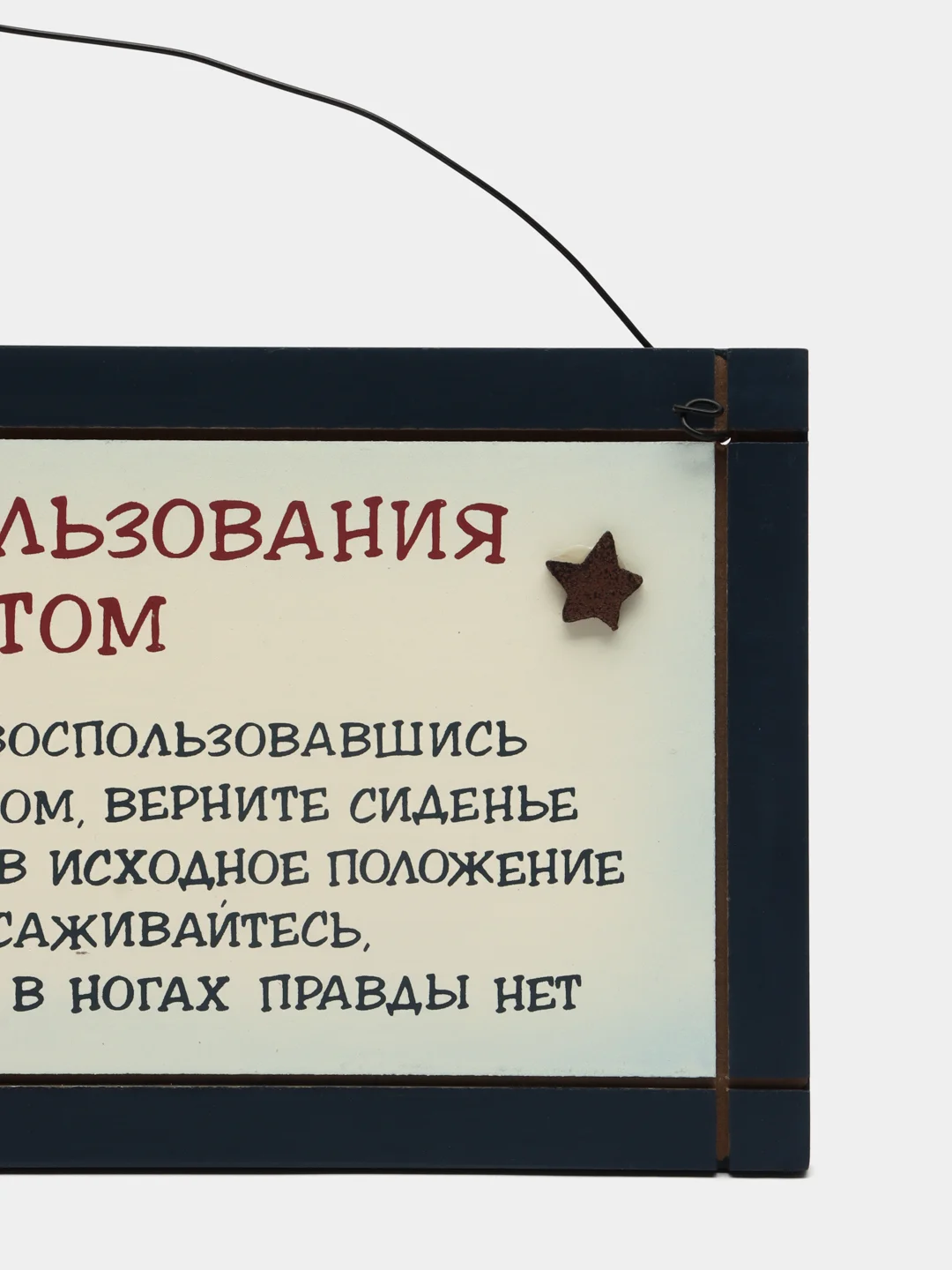 Интерьерная табличка "Правила пользования туалетом"