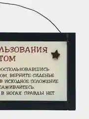Интерьерная табличка "Правила пользования туалетом"