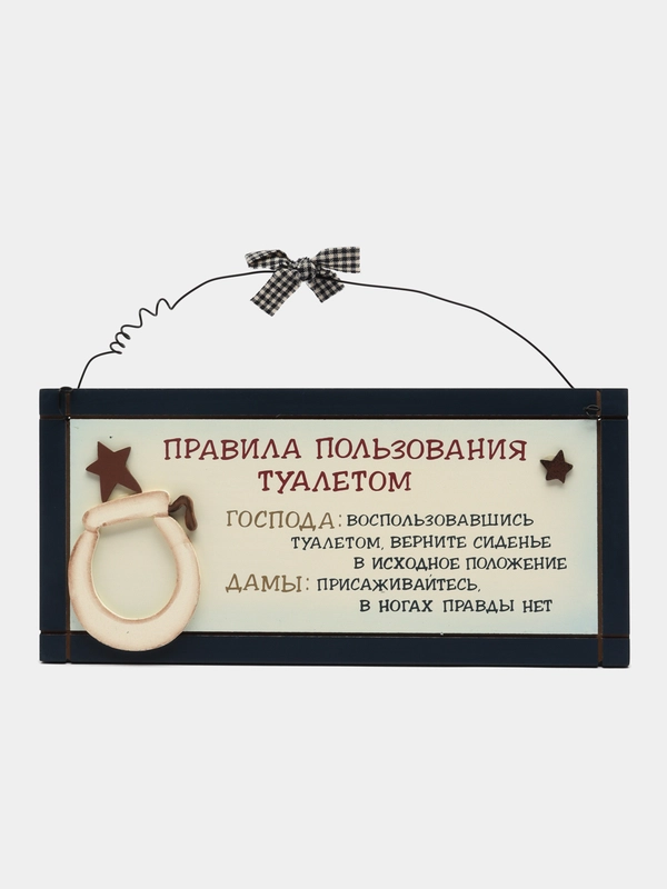 Интерьерная табличка "Правила пользования туалетом"