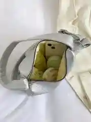 Серебряный сумка женская. Сумка повседневная через плечо