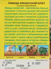 Семена Лаванда ФРАНЦУЗКИЙ БУКЕТ 0,1гр  серия ЦЕЛЕБНЫЙ ЧАЙ   АЭЛИТА