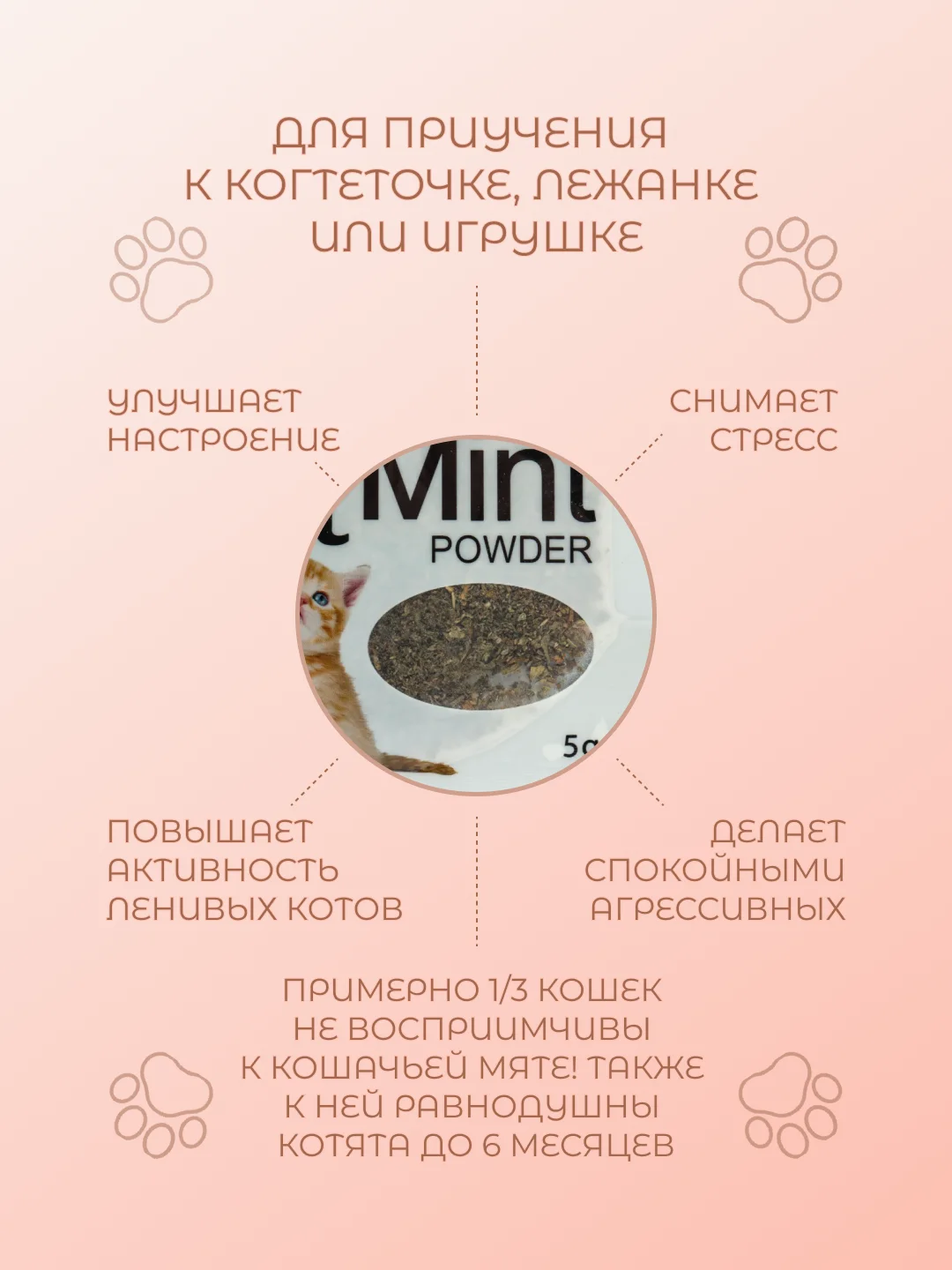 Кошачья мята (котовник кошачий), лакомство для кошек, 5 г