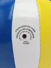 Мяч волейбрльный