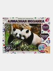 Алмазная мозаика Мультиарт "Панды"