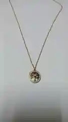 Цепочка на шею с кулоном XUPING