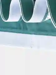 Зеленый боксеры мужские, 2 шт