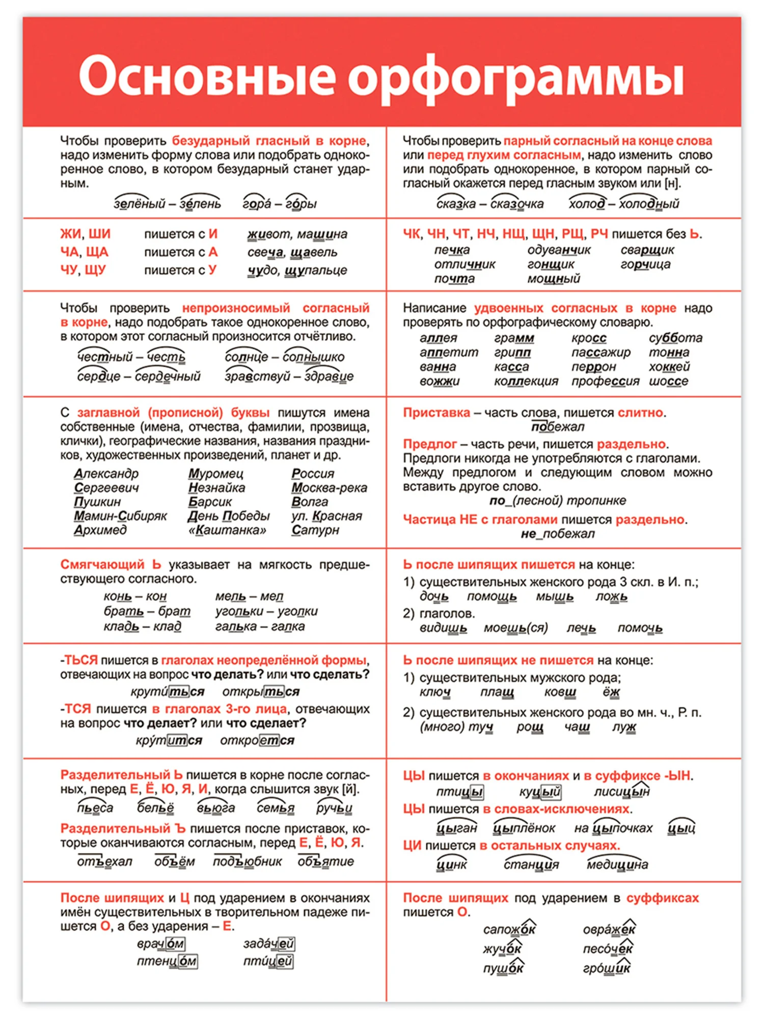 Комплект плакатов. Русский язык. Дрофа-Медиа