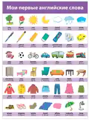Комплект плакатов. Английский язык Дрофа-Медиа
