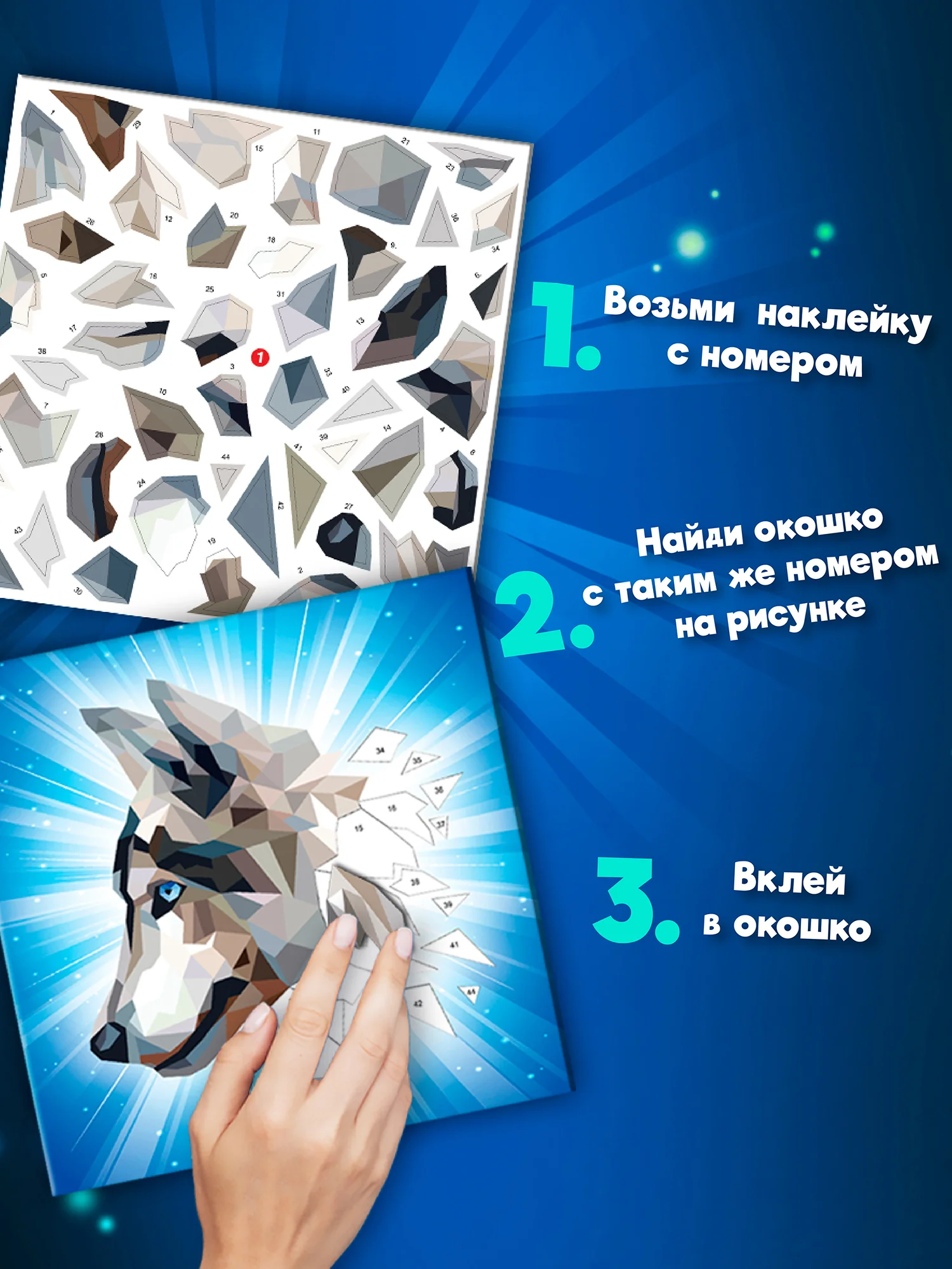 Аппликация наклейками по номерам "Хищники", Дрофа-Медиа
