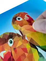Аппликация наклейками по номерам. Домашние любимцы Дрофа-Медиа