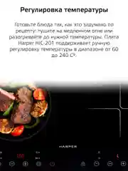 Черный индукционная плита HARPER HIC-201