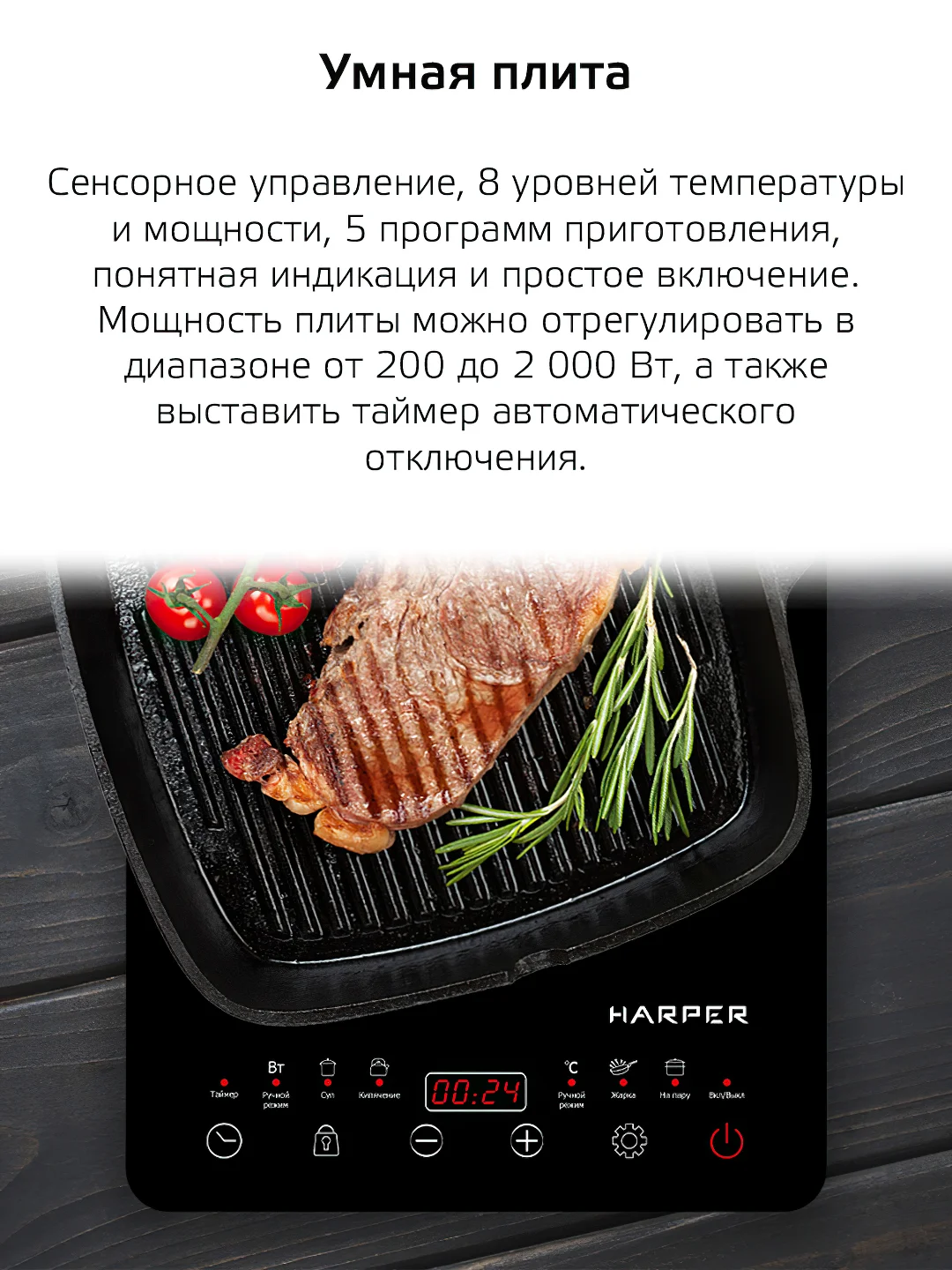 Черный индукционная плита HARPER HIC-101