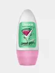 Антиперспирант шариковый REXONA "Сочный Арбуз", женский, 50 мл