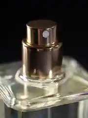 Fleur Narcotique ароматизатор  по мотивам Флер Наркотик EX NIHILO