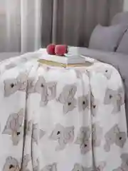 Плед 150x200 см на кровать плюшевый Велсофт