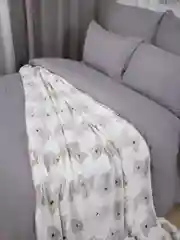 Плед 150x200 см на кровать плюшевый Велсофт