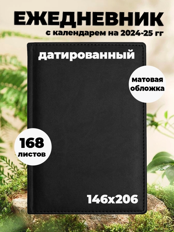Ежедневник датированный на 2024 год черный