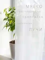 Тюль, вуаль, 400 х 240, однотонный, широкий, белый