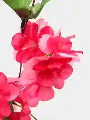 Тёмно-розовый лиана с цветами и листьями искусственные. Для интерьера