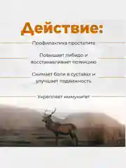 Экстракт ПАНТЫ МАРАЛА от  простатита, повышает потенцию 100гр(воск)