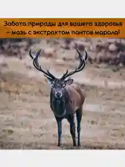 Экстракт ПАНТЫ МАРАЛА от  простатита, повышает потенцию 100гр(воск)