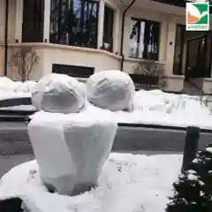 Зимнее укрытие для цветущих кустарников Агротекс 100