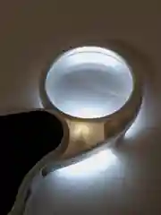 Лупа Pro Legend карманная складная 5х, 45 мм, с подсветкой (1 LED)