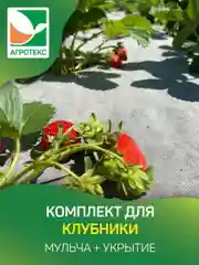 Комплект для земляники Агротекс