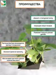 Комплект для земляники Агротекс