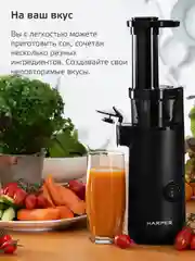 Черный электрическая соковыжималка Harper, шнековая из нержавеющей стали, модель HJE-S01