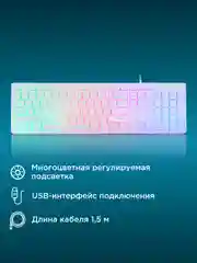 Клавиатура Oklick 550ML, USB, белый, 1061618