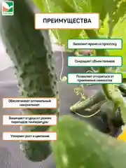 Комплект для огурцов Агротекс