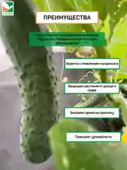 Комплект для огурцов от института овощеводства,ТМ Агротекс